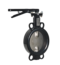 Butterfly Valve's